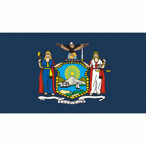 5'x8' New York State Flag Nylon